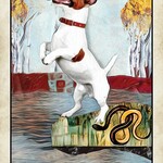 Wise Dog Tarot