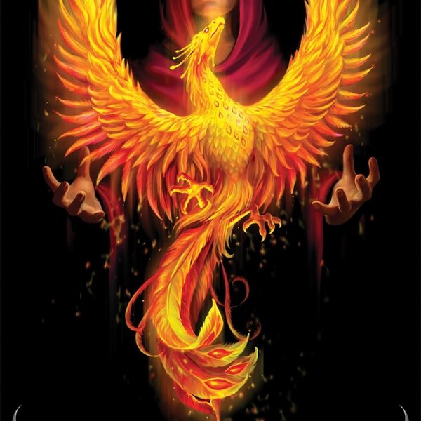 Anne Stokes Gothic Oracle