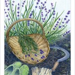 The Herbcrafter's Tarot
