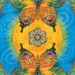 Chrysalis Tarot Deck