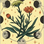 Herbana Witch Oracle