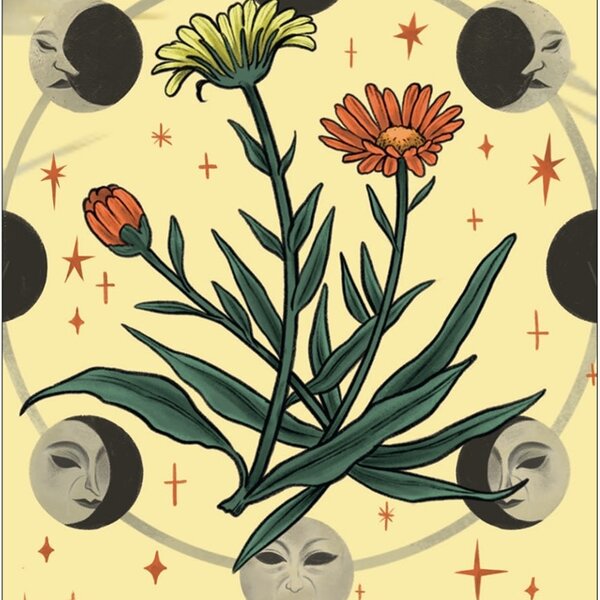 Herbana Witch Oracle