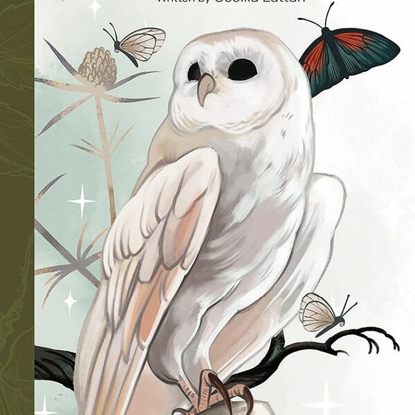 Herbana Witch Oracle