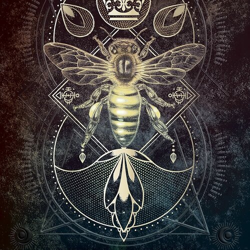 Talisman Oracle