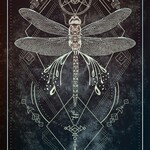 Talisman Oracle
