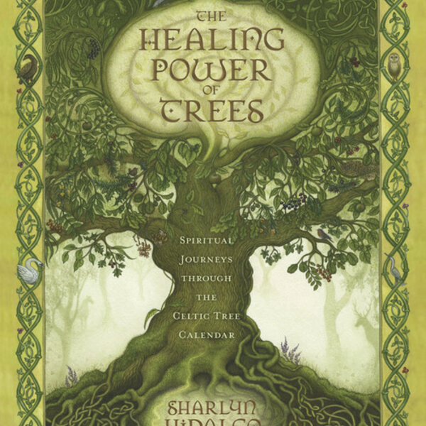 The Healing Power of Trees by Sharlyn HiDalgo
