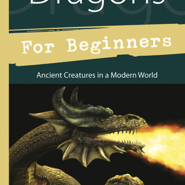 Dragons for Beginners by Shawn Mackenzie