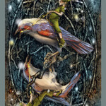 The Fairy Lights Tarot Deck