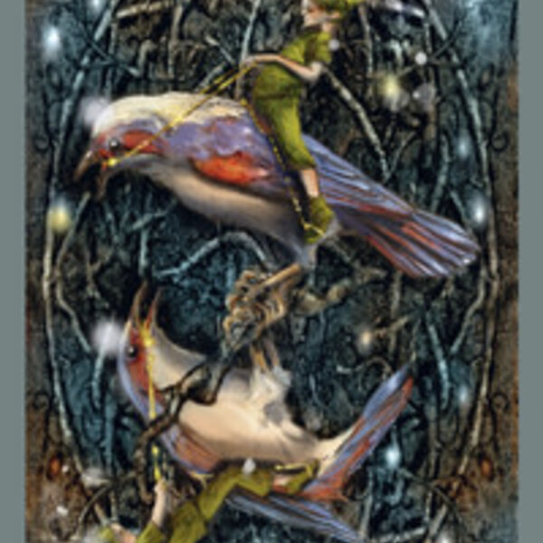 The Fairy Lights Tarot Deck