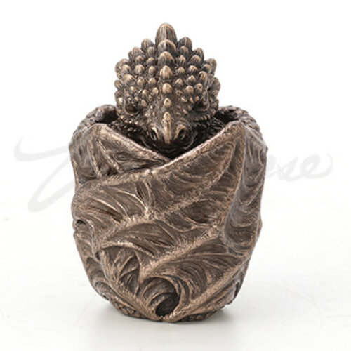 BABY DRAGON SECRET TRINKET STASH