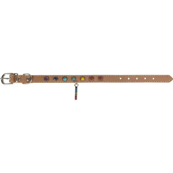 Vegan Leather Dog Collar - 7 Chakras - Medium
