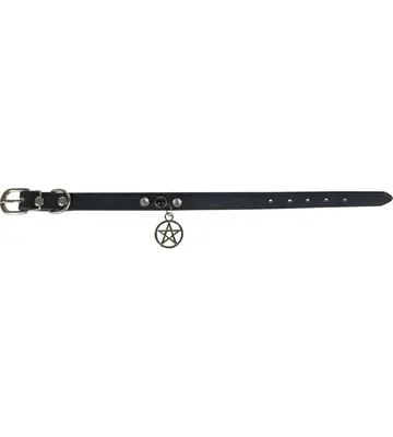 Vegan Leather Dog Collar - Pentacle - Large