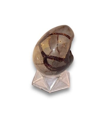 Septarian (Dragon Stone) Egg 3 1/2" x 2" x 2 1/2"