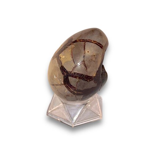 Septarian (Dragon Stone) Egg 3 1/2" x 2" x 2 1/2"