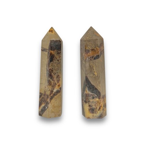 Septarian (Dragon Stone) Point 4" x 1" x 1"