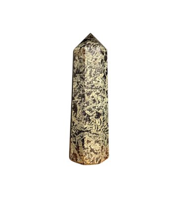 Rainforest Jasper Point 7" x 2" x 2"