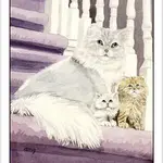 Cat's Eye Tarot