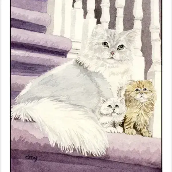 Cat's Eye Tarot