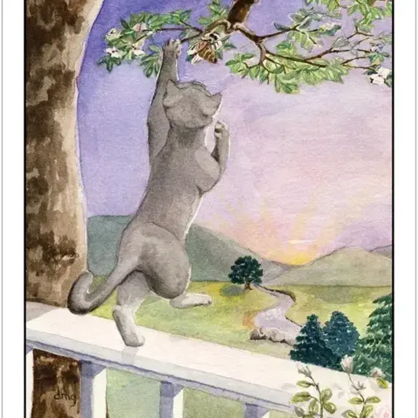 Cat's Eye Tarot