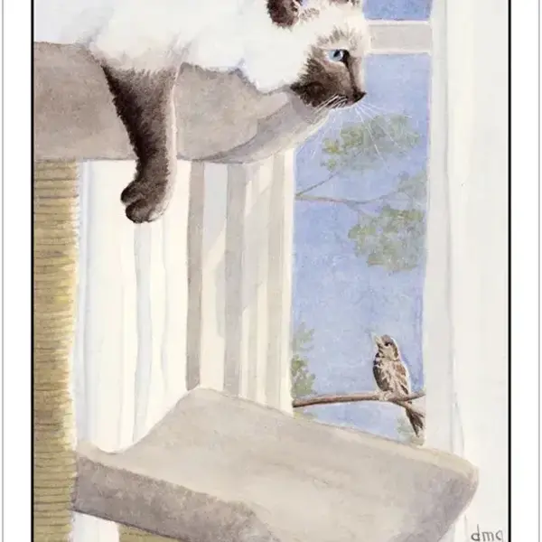 Cat's Eye Tarot