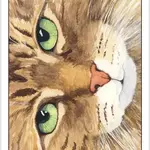 Cat's Eye Tarot