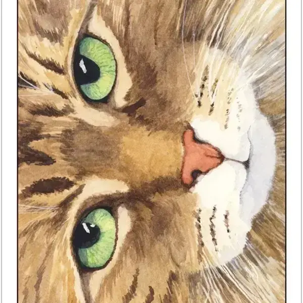 Cat's Eye Tarot