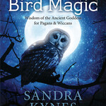 Bird Magic by Sandra Kynes