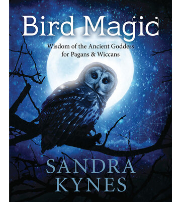 Bird Magic by Sandra Kynes