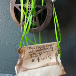 Healing Spell Cord by Laurie & Penny Cabot