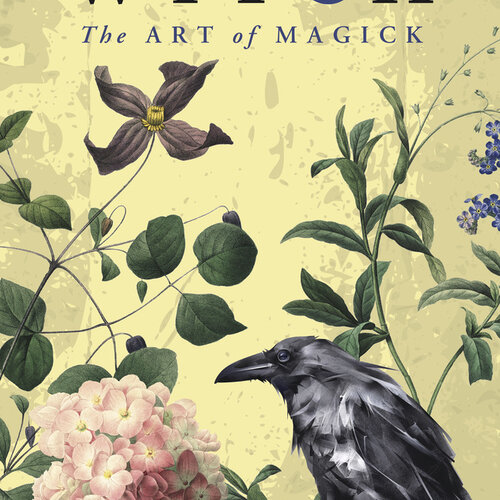Becoming the Witch by Danae Moon Thorp