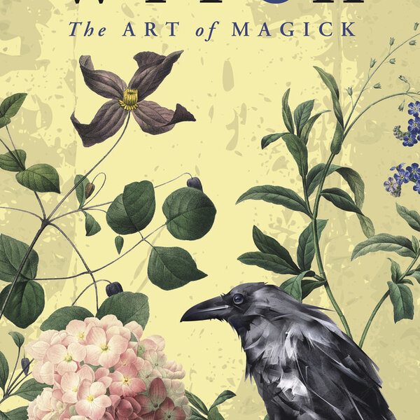 Becoming the Witch by Danae Moon Thorp