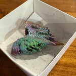 Freeform Bismuth Piece