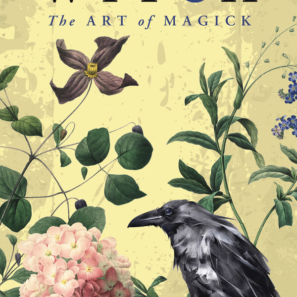 Becoming the Witch by Danae Moon Thorp