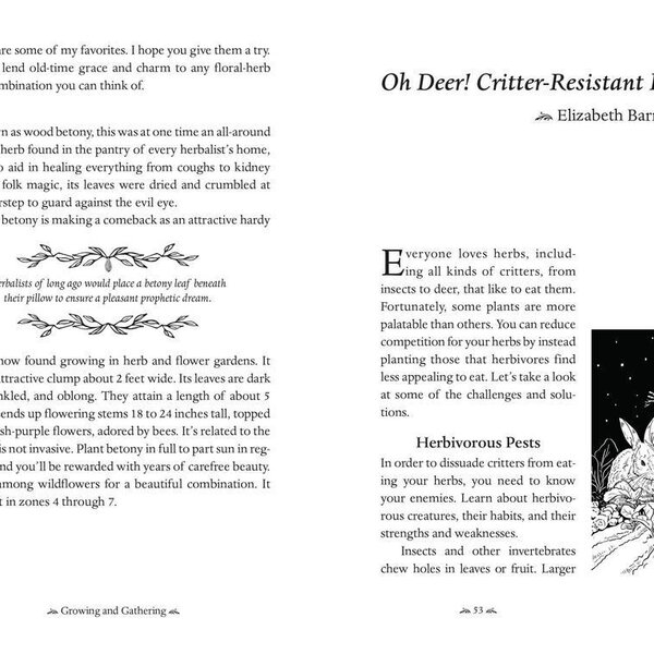 Llewellyn's 2026 Herbal Almanac