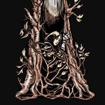 Lost Oracle