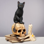 SPIRITS OF SALEM BY LISA PARKER