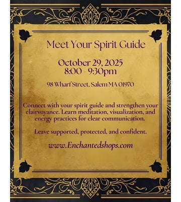 Meet Your Spirit Guide Workshop