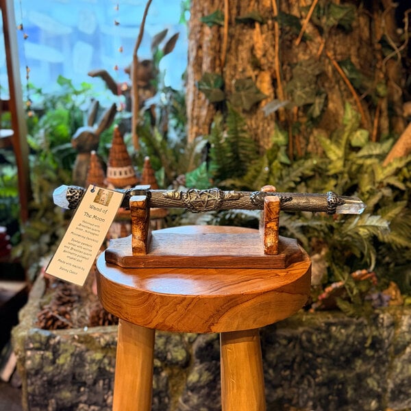 Wand of The Moon by Penny Cabot