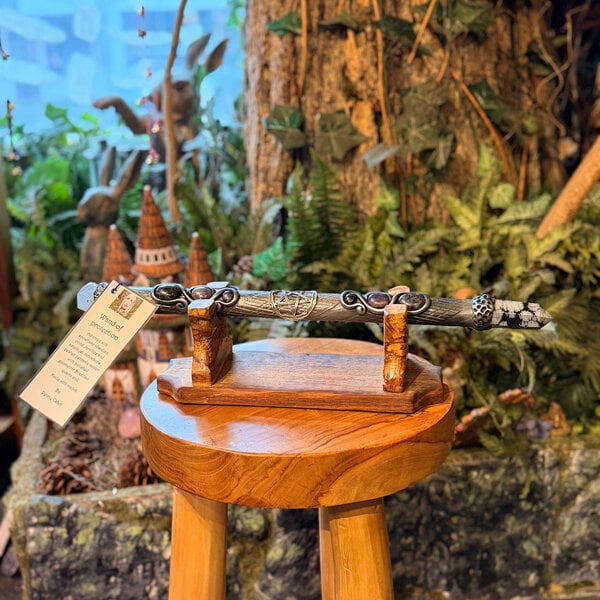 Wand of Protection by Penny Cabot