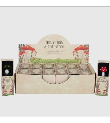 Lucky Glass Frog and Toadstools