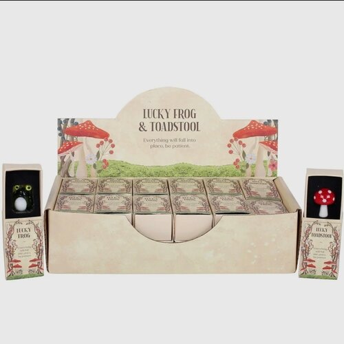 Lucky Glass Frog and Toadstools