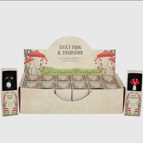 Lucky Glass Frog and Toadstools