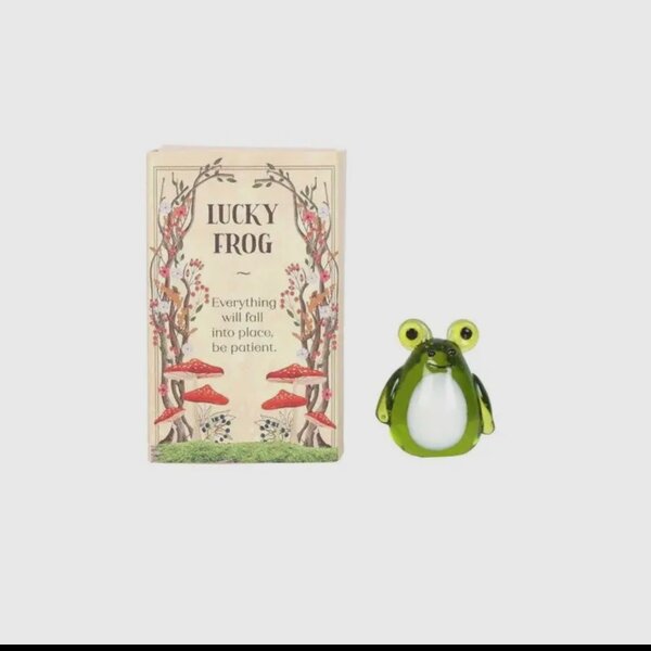 Lucky Glass Frog and Toadstools