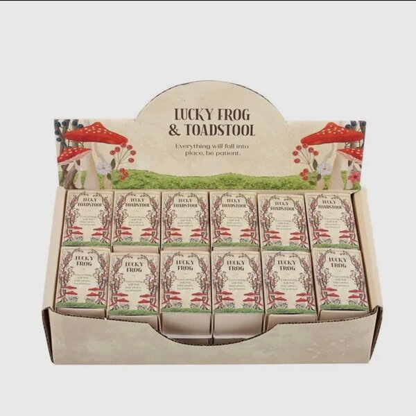 Lucky Glass Frog and Toadstools