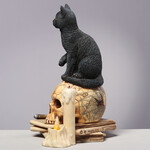 SPIRITS OF SALEM BY LISA PARKER