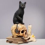 SPIRITS OF SALEM BY LISA PARKER