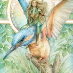 Oracle of Light & Dreams