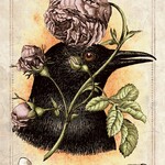 Old Style Oracle