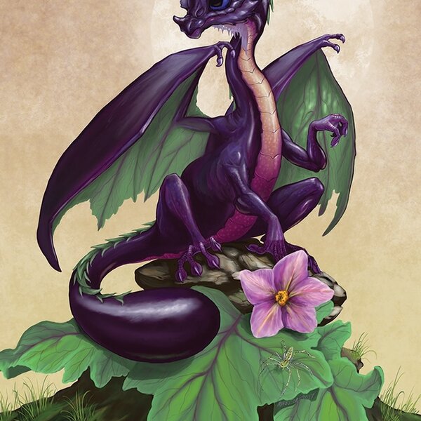 Field Guide To Garden Dragons