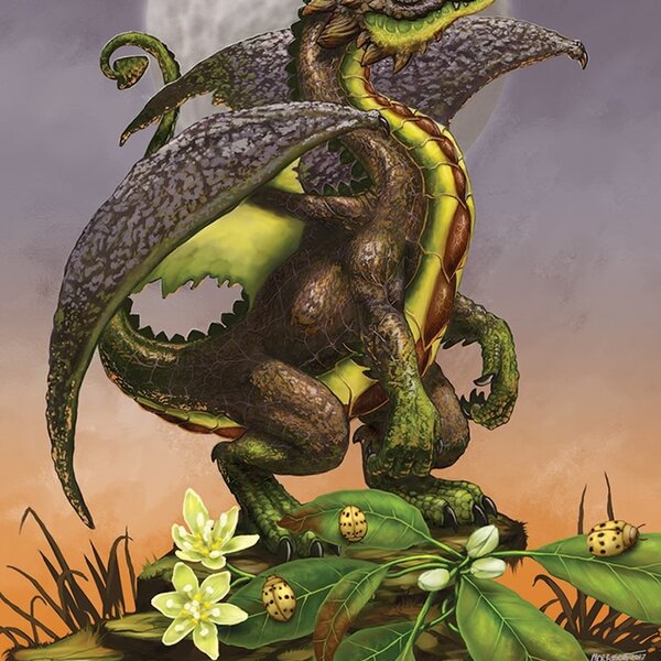 Field Guide To Garden Dragons